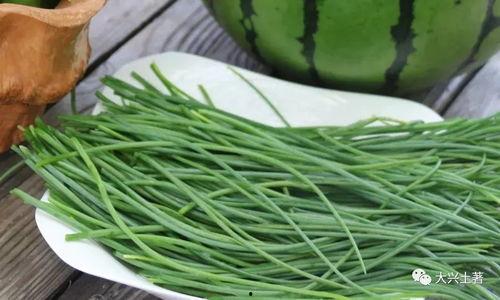 成县吃瓜网红,揭秘当地美食文化  第2张